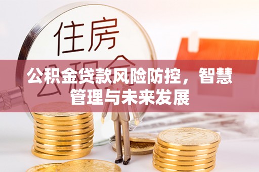 东海公积金贷款风险防控，智慧管理与未来发展