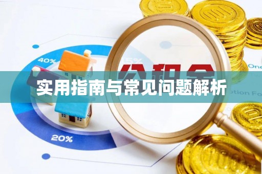 东海实用指南与常见问题解析