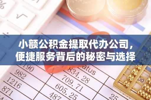 东海小额公积金提取代办公司，便捷服务背后的秘密与选择指南