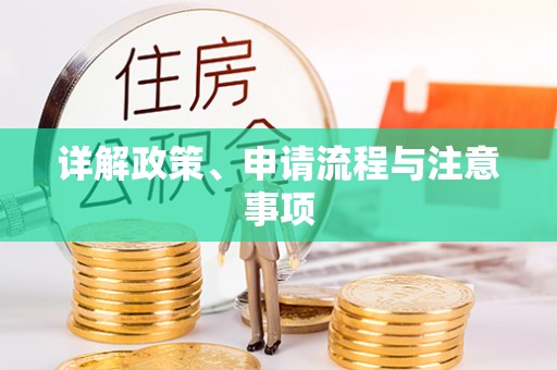 东海详解政策、申请流程与注意事项